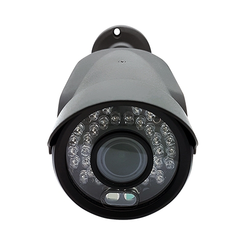 NK1080BL-AF-F2 2백만화소 불꽃감지 IP 카메라 화재감시 CCTV 웹게이트